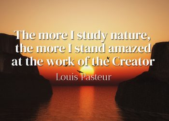 The more I study nature, the more I stand amazed at the work of the Creator - Louis Pasteur