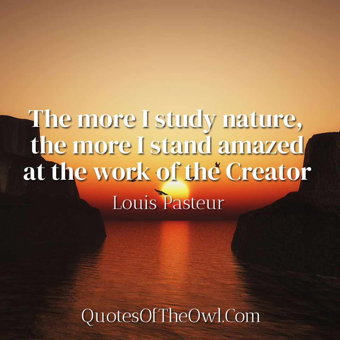 The more I study nature, the more I stand amazed at the work of the Creator - Louis Pasteur