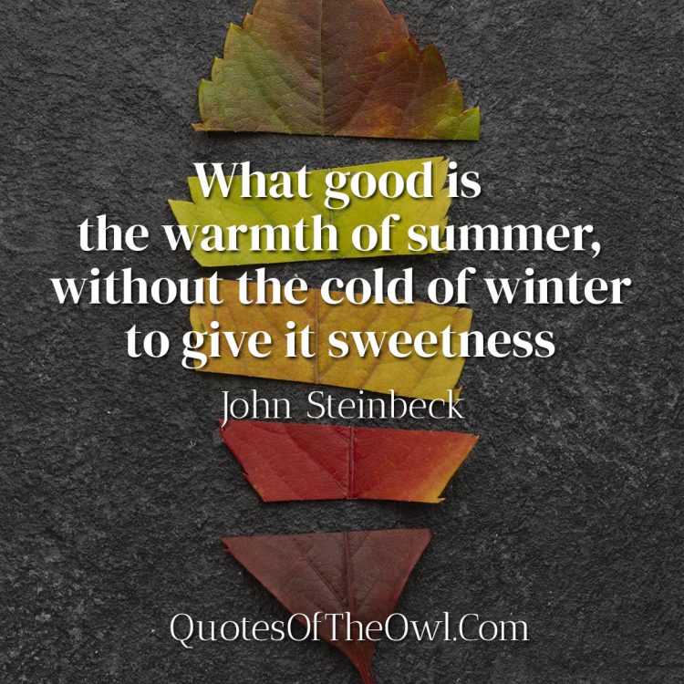 What good is the warmth of summer, without the cold of winter to give it sweetness - John Steinbeck