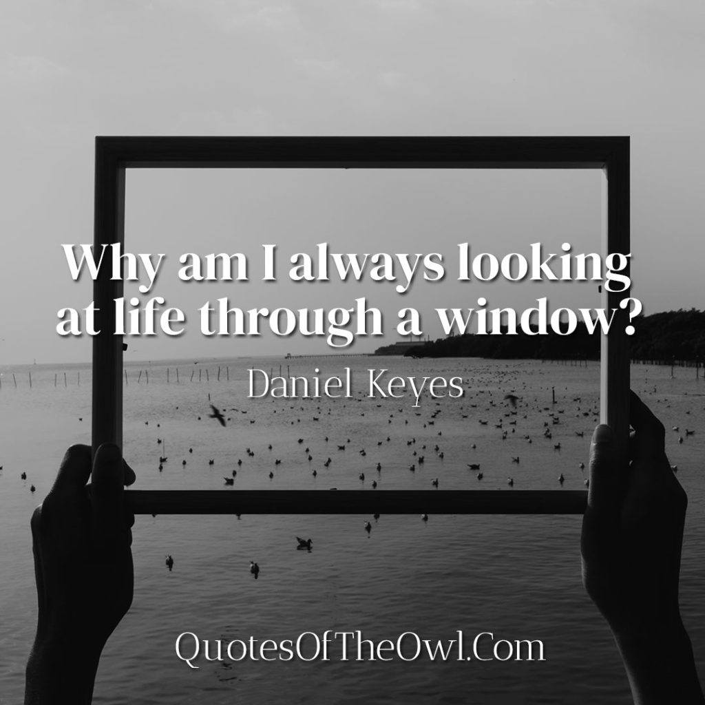 Why am I always looking at life through a window? Daniel Keyes