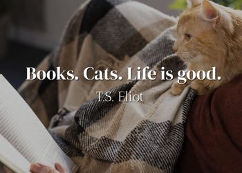 Books - Cats - Life is Good - Quote Meaning - T S Eliot