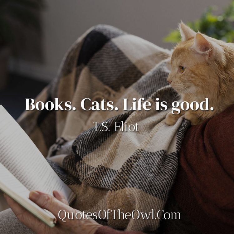 Books - Cats - Life is Good - Quote Meaning - T S Eliot