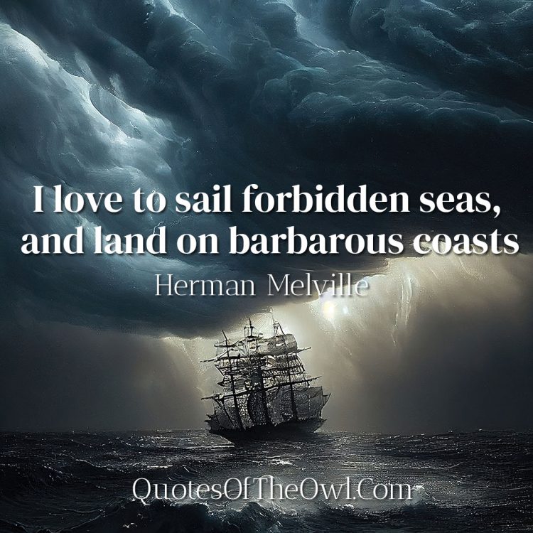 I love to sail forbidden seas, and land on barbarous coasts - Herman Melville