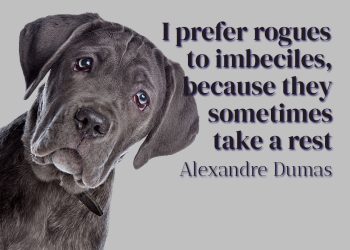 I prefer rogues to imbeciles, because they sometimes take a rest - Alexandre Dumas