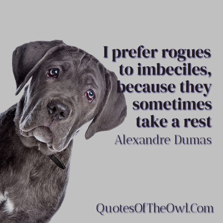 I prefer rogues to imbeciles, because they sometimes take a rest - Alexandre Dumas