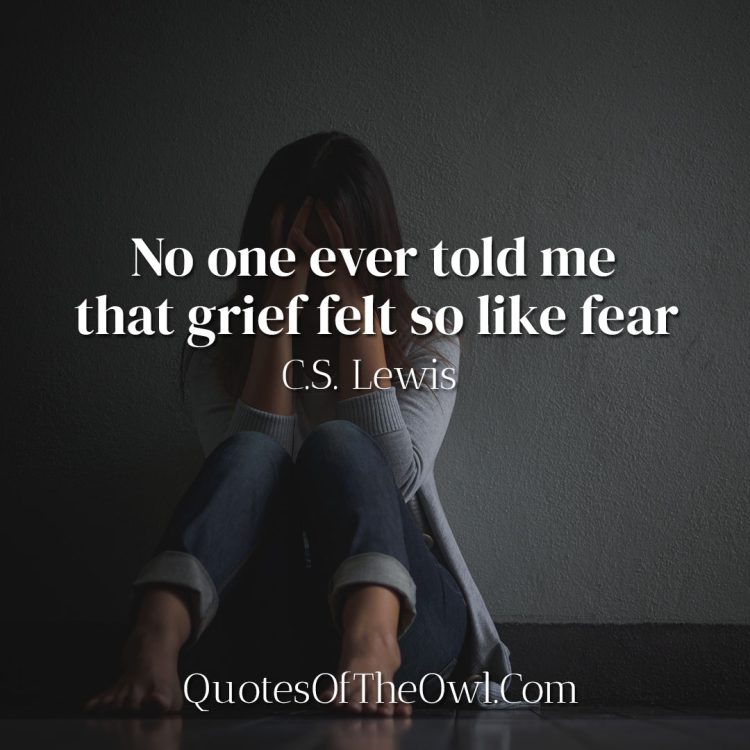 No one ever told me that grief felt so like fear - C-S-Lewis