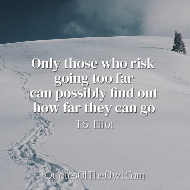 Only those who risk going too far can possibly find out how far they can go - Eliot Quote Meaning