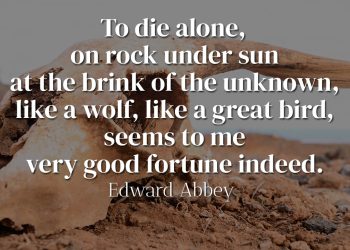 To die alone, on rock under sun at the brink of the unknown, like a wolf, like a great bird, seems to me very good fortune indeed - Edward Abbey