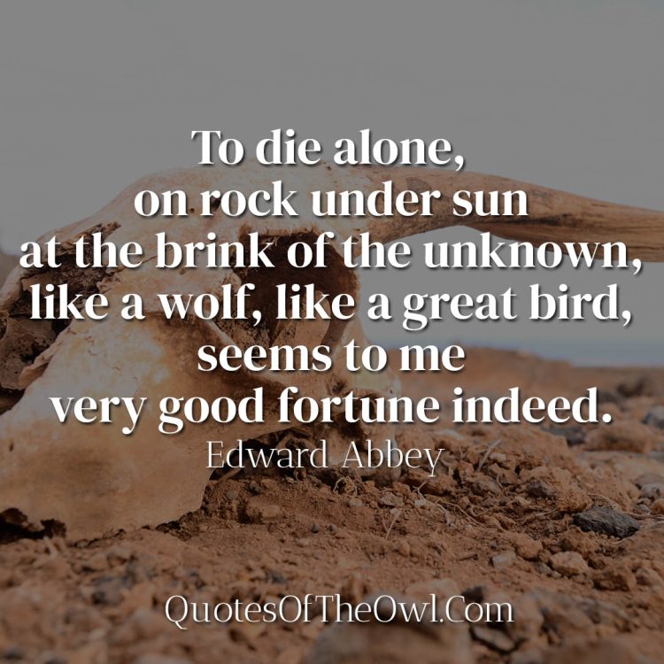 To die alone, on rock under sun at the brink of the unknown, like a wolf, like a great bird, seems to me very good fortune indeed - Edward Abbey