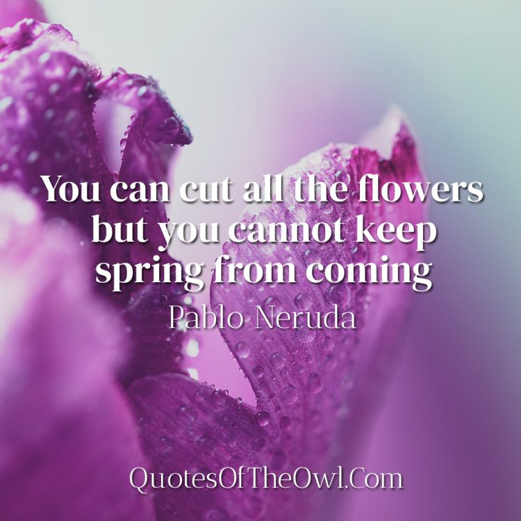 You can cut all the flowers but you cannot keep spring from coming meaning- Pablo Neruda