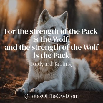 For the strength of the Pack is the Wolf, and the strength of the Wolf ...