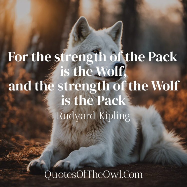 For the strength of the Pack is the Wolf and the strength of the Wolf is the Pack - Rudyard Kipling