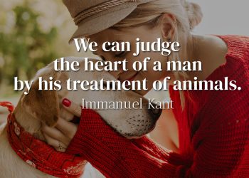 We can judge the heart of a man by his treatment of animals - immanuel Kant