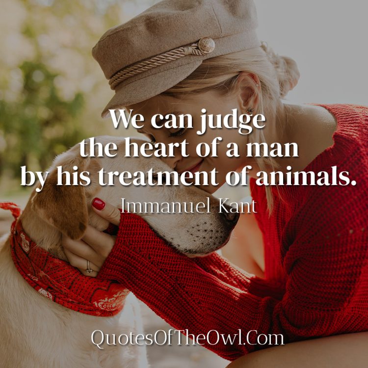 We can judge the heart of a man by his treatment of animals - immanuel Kant
