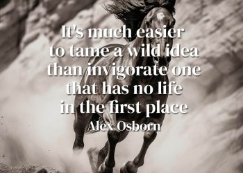 It's much easier to tame a wild idea than invigorate one that has no life in the first place - Alex Osborn