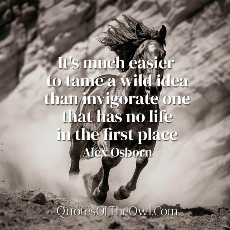 It's much easier to tame a wild idea than invigorate one that has no life in the first place - Alex Osborn