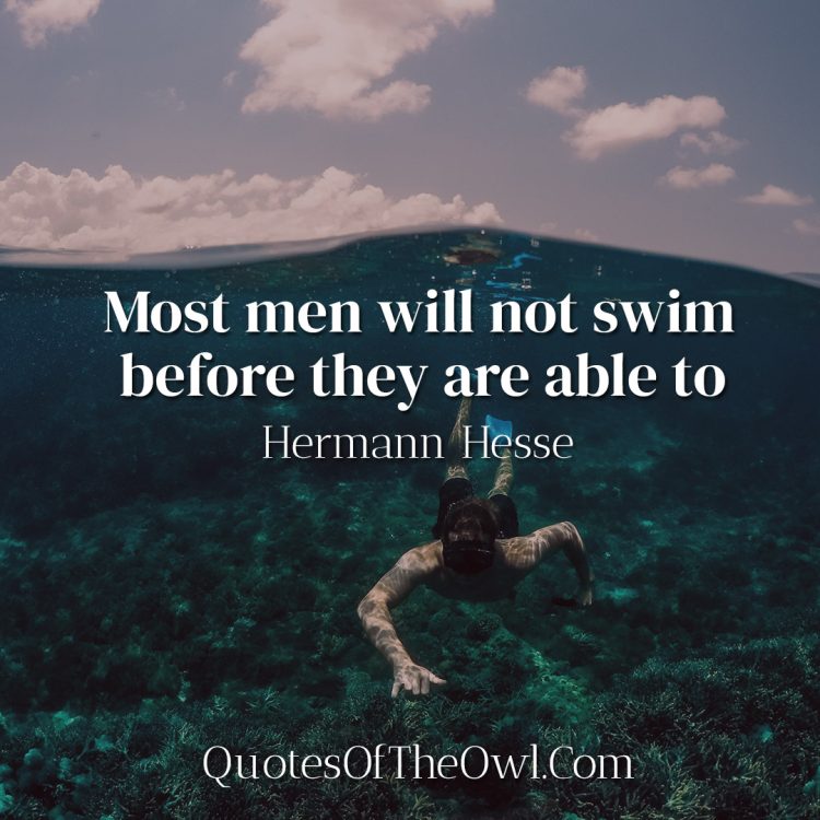 Most men will not swim before they are able to - Hermann Hesse quote meaning