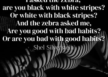 I asked the Zebra, are you black with white stripes? Or white with black stripes? – Shel Silverstein