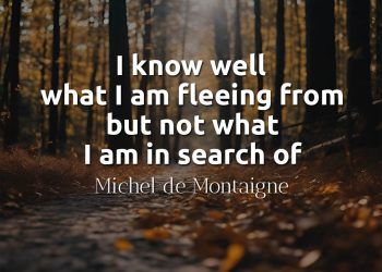 I know well what I am fleeing from but not what I am in search of - Michel de Montaigne