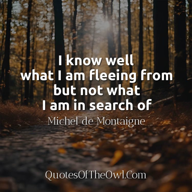 I know well what I am fleeing from but not what I am in search of - Michel de Montaigne