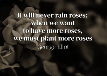 It will never rain roses - George Eliot