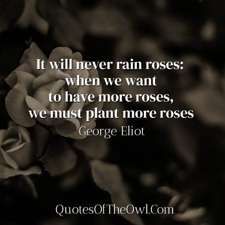 It will never rain roses - George Eliot