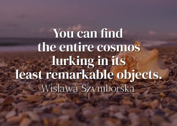 You can find the entire cosmos lurking in its least remarkable objects - Wislawa Szymborska