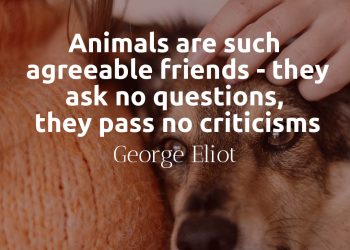 Animals are such agreeable friends - George Elliott