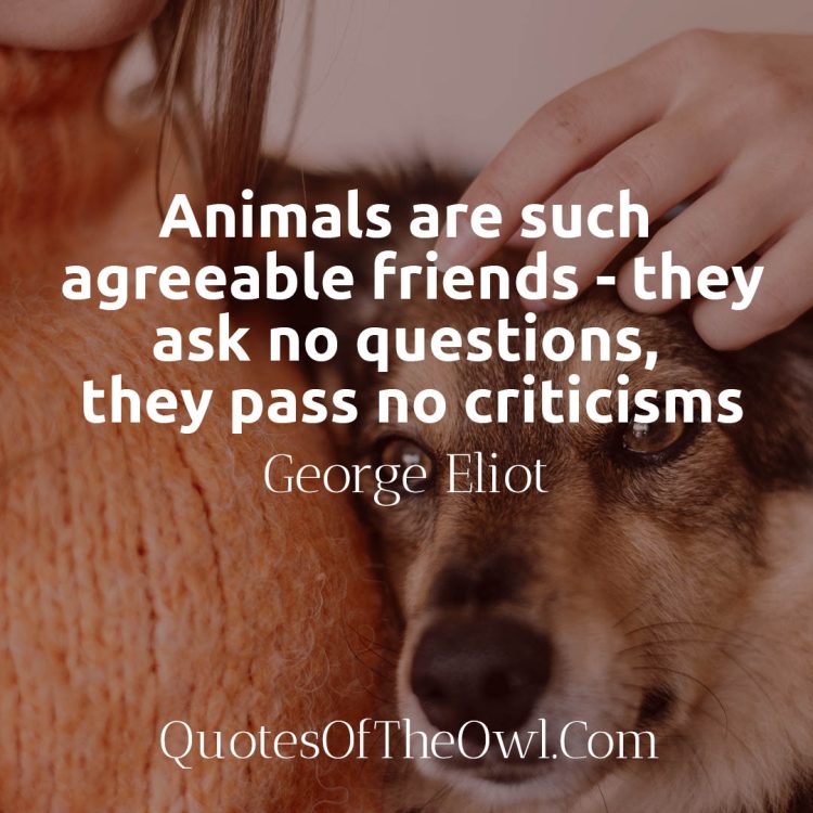 Animals are such agreeable friends - George Elliott