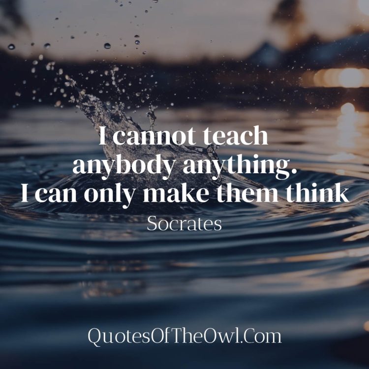I cannot teach anybody anything - Socrates