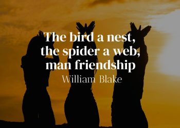 The bird a nest, the spider a web, man friendship - William Blake