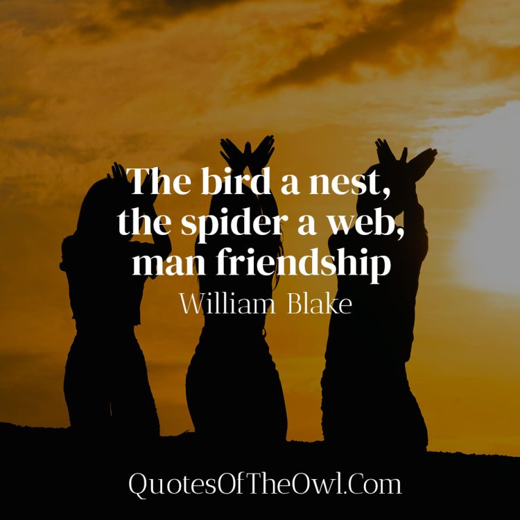 The bird a nest, the spider a web, man friendship - William Blake
