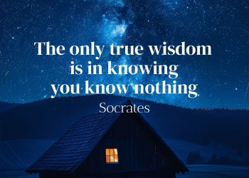 The only true wisdom is in knowing you know nothing Socrates Quote Meaning