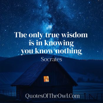 The only true wisdom is in knowing you know nothing - Socrates - Quotes