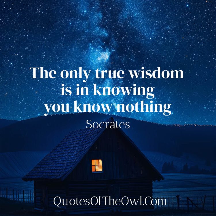 The only true wisdom is in knowing you know nothing Socrates Quote Meaning