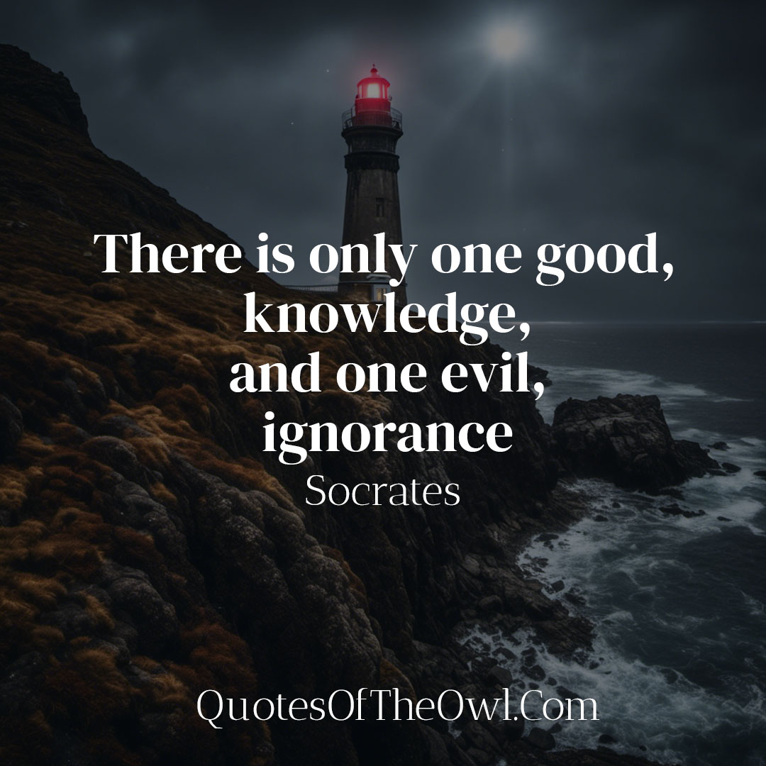 There is only one good, knowledge, and one evil, ignorance - Socrates