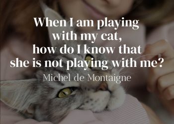 When I am playing with my cat, how do I know that she is not playing with me - Michel de Montaigne