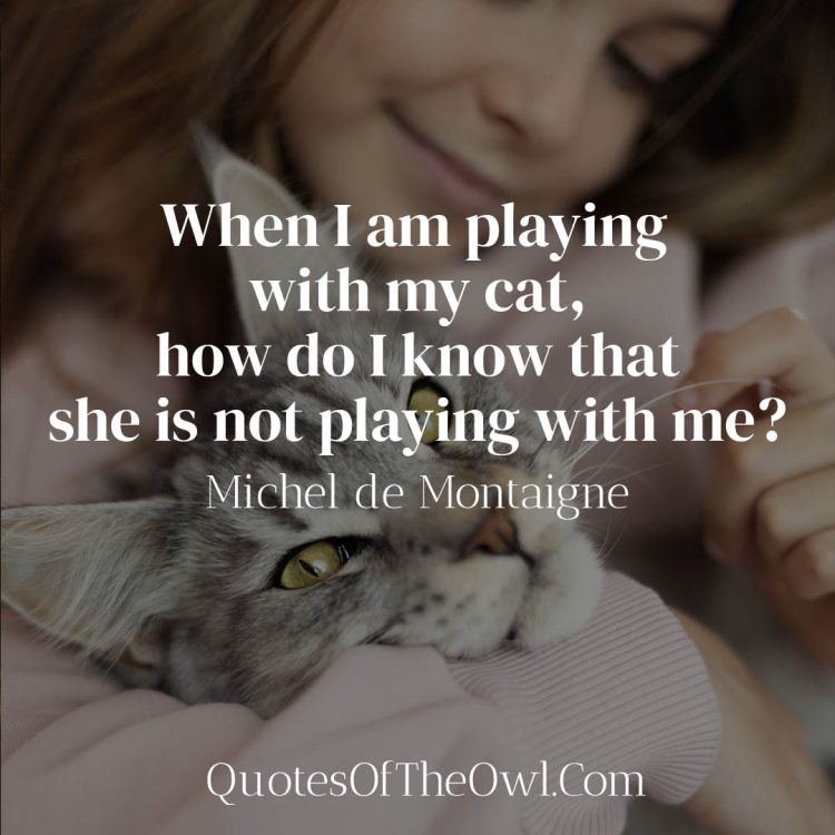When I am playing with my cat, how do I know that she is not playing with me - Michel de Montaigne