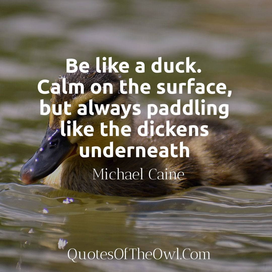 Be like a duck quote michael caine meaning explained