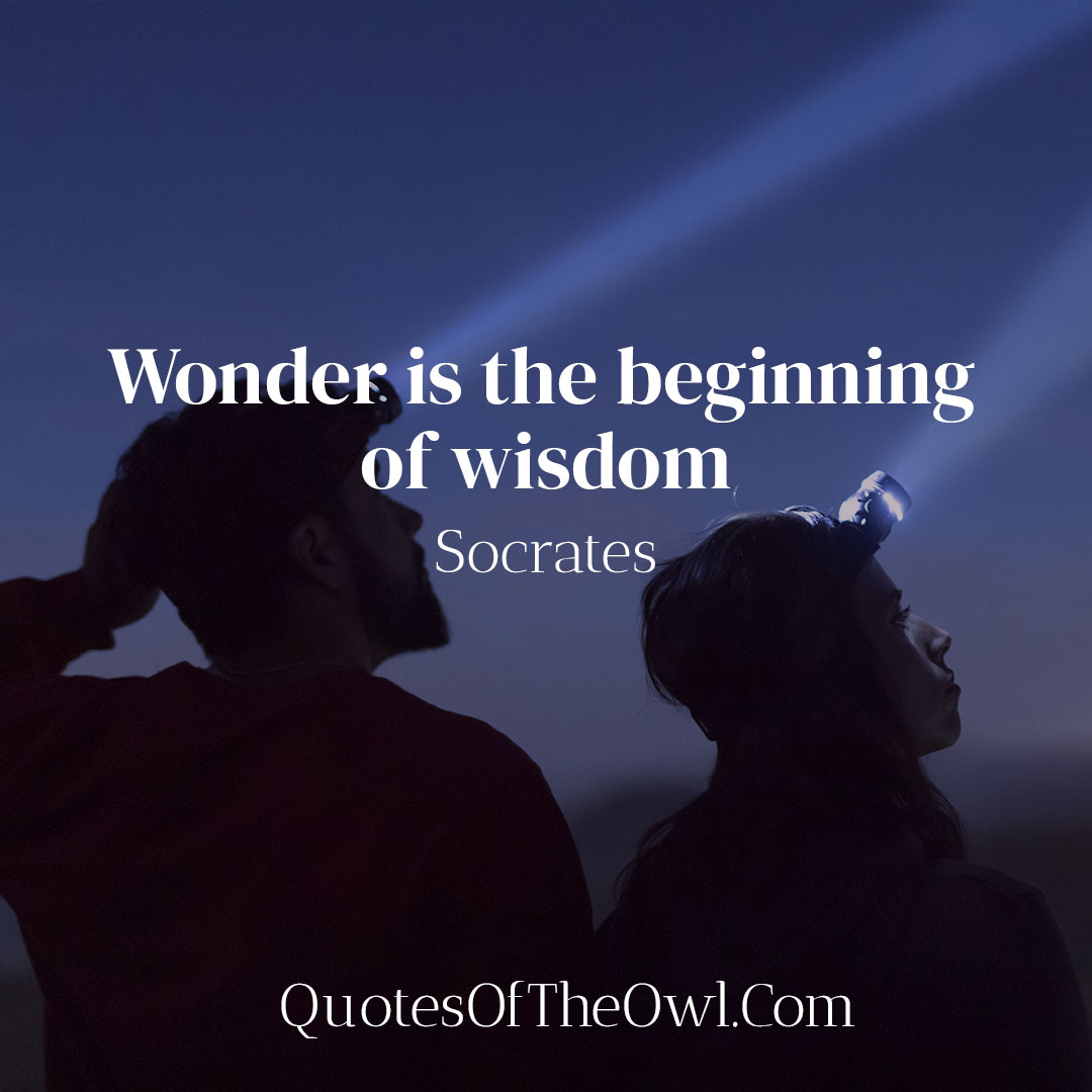 Wonder is the beginning of wisdom - Socrates quote meaning