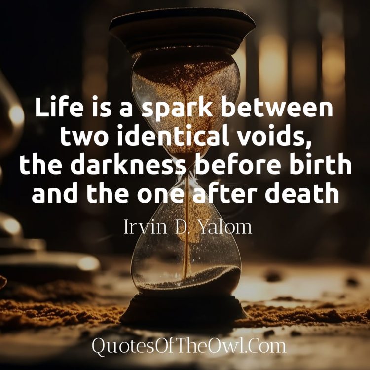 Life is a spark between two identical voids, the darkness before birth and the one after death - Irvin Yalom Quotes