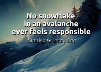 No snowflake in an avalanche ever feels responsible - Stanisław Jerzy Lec Quote Meaning