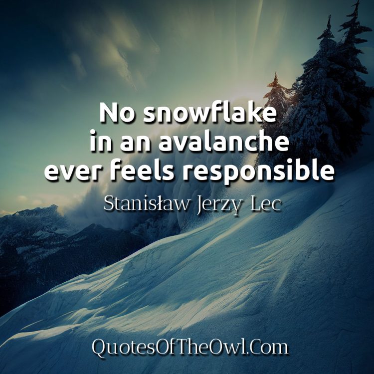 No snowflake in an avalanche ever feels responsible - Stanisław Jerzy Lec Quote Meaning