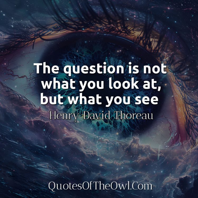 The question is not what you look at, but what you see - Henry David Thoreau Quote Meaning