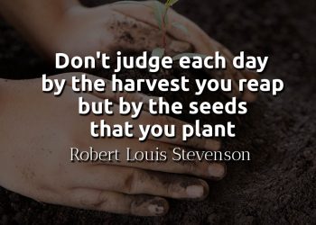 Don't judge each day by the harvest you reap but by the seeds that you plant Quote Meaning