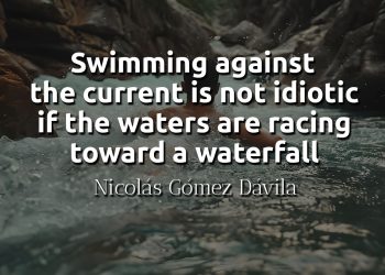 Swimming against the current is not idiotic if the waters are racing toward a waterfall davila quote