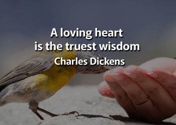 A loving heart is the truest wisdom Dickens Quotes