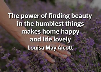 The power of finding beauty in the humblest things makes home happy and life lovely meaning